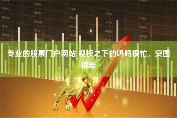 专业的股票门户网站 规模之下的鸣鸣很忙，突围很难